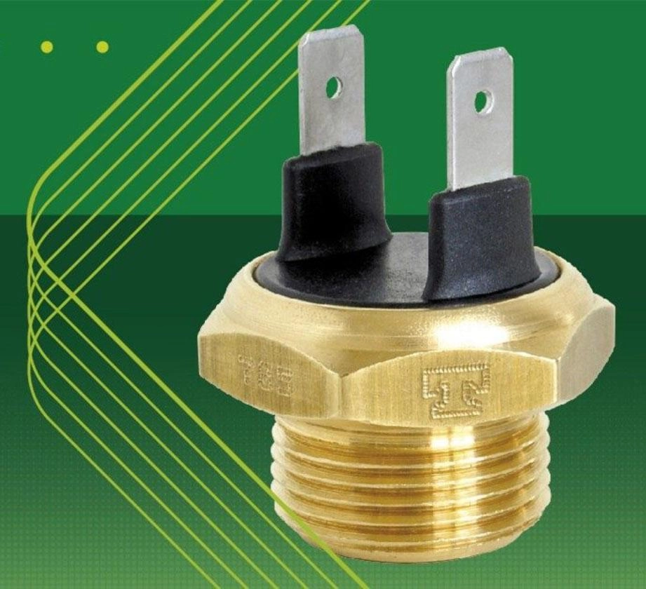 Interruptor de Temperatura.